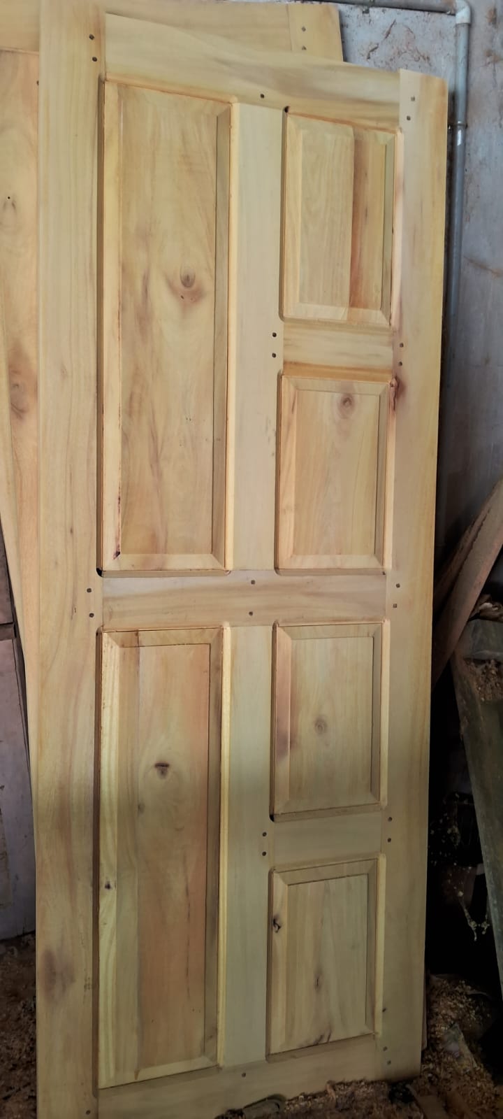 Panel door