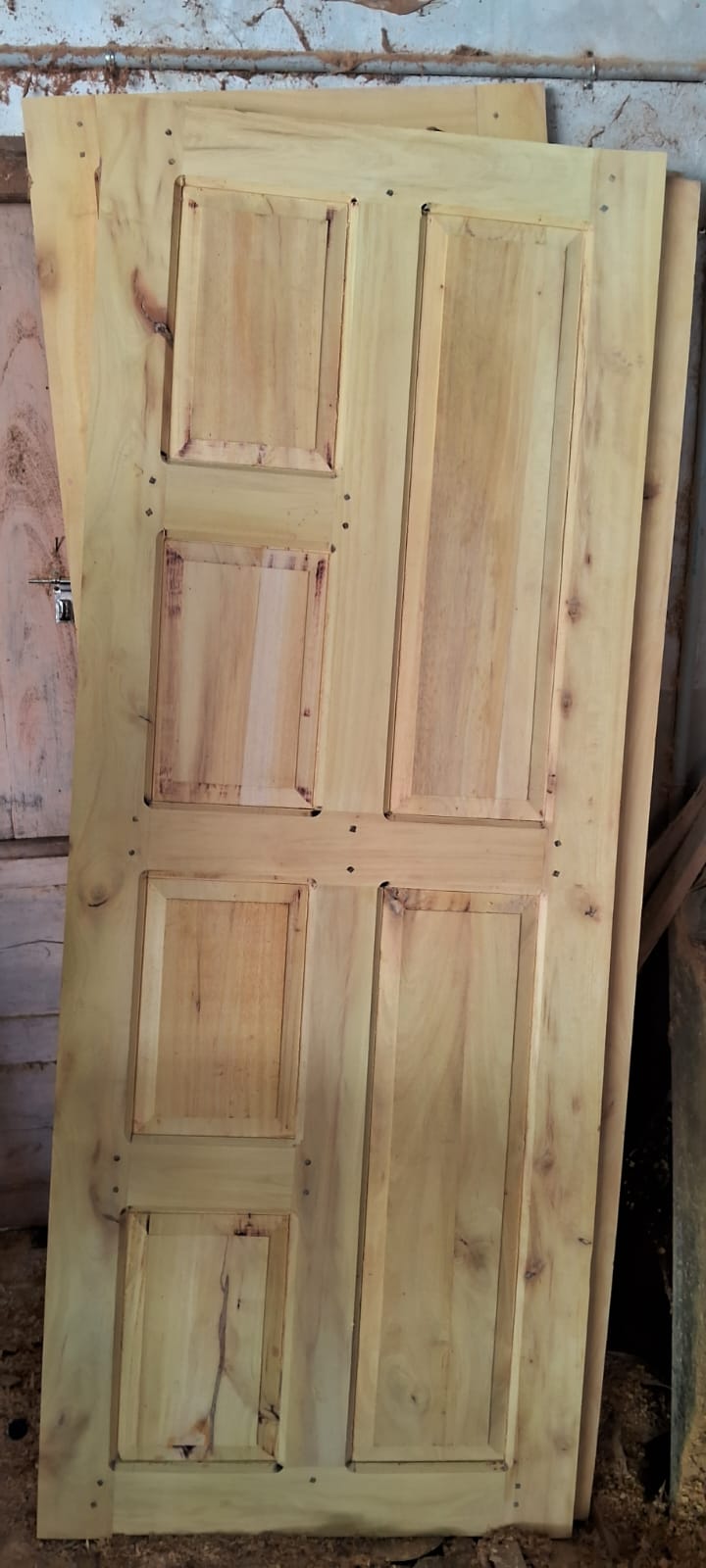 Panel door
