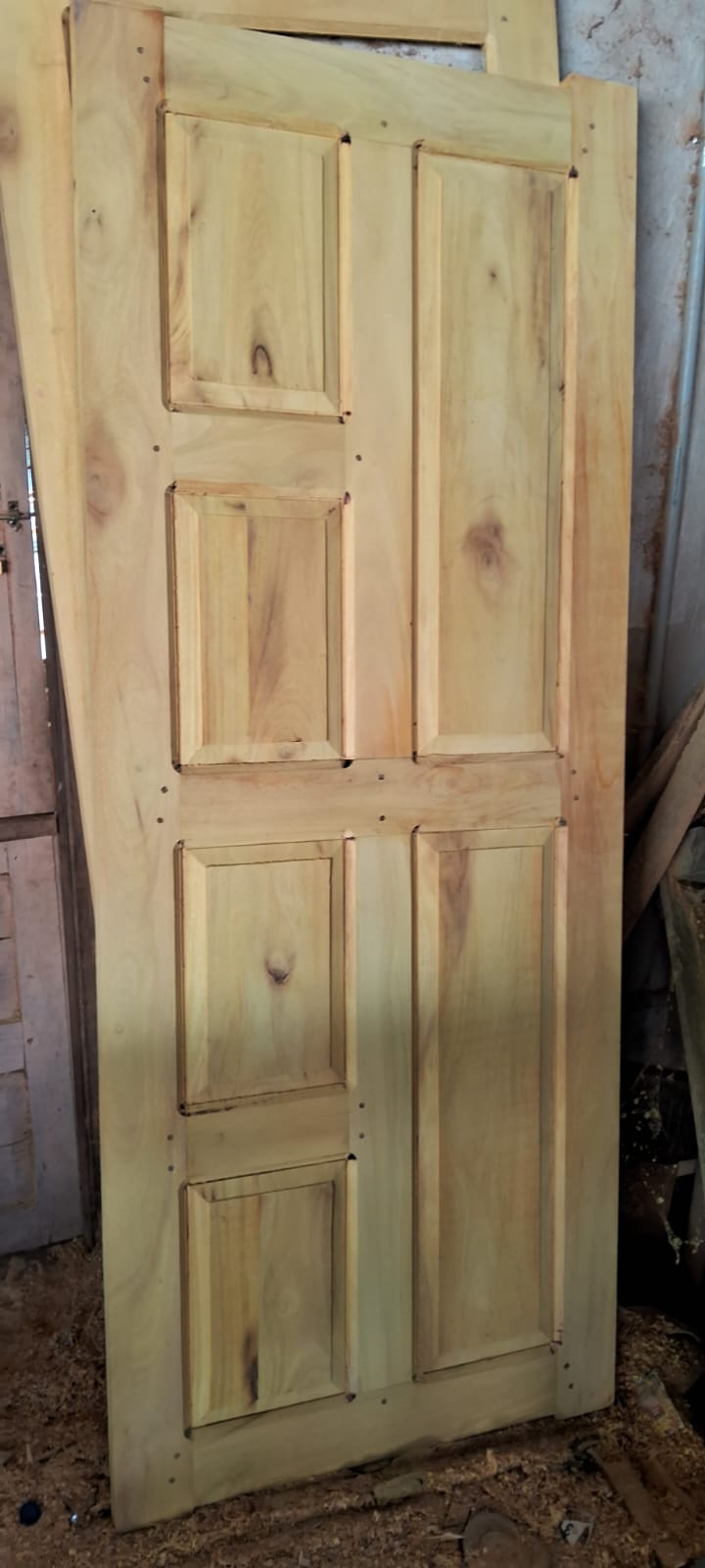Panel door